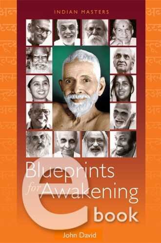 buy the book Blueprints for Awakening awakening