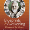 film-blueprints-for-awakening blueprints for awakening, film blueprints for awakening, dvd blueprints for awakening, spiritual master, indian master