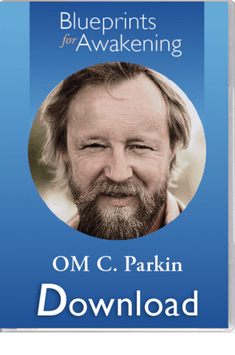 om parkin, healing, enneagram