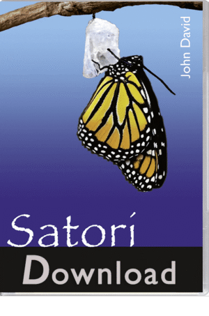 satori, satori download