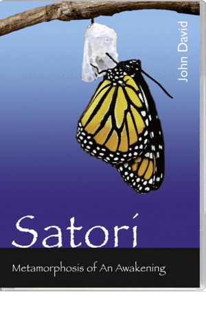 satori, satori dvd