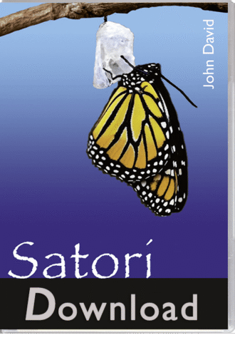 satori, john david