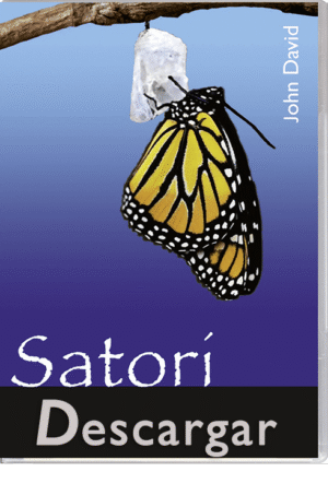 satori, john david