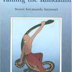 Buy Taming the Kundalini